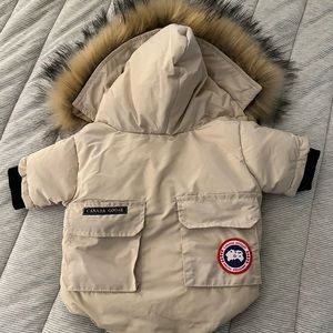 Canada Goose INSPIRED Dog Jacket